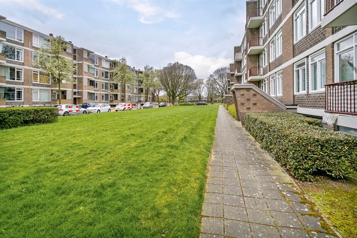 Bekijk foto 4 van van der Meystraat 17