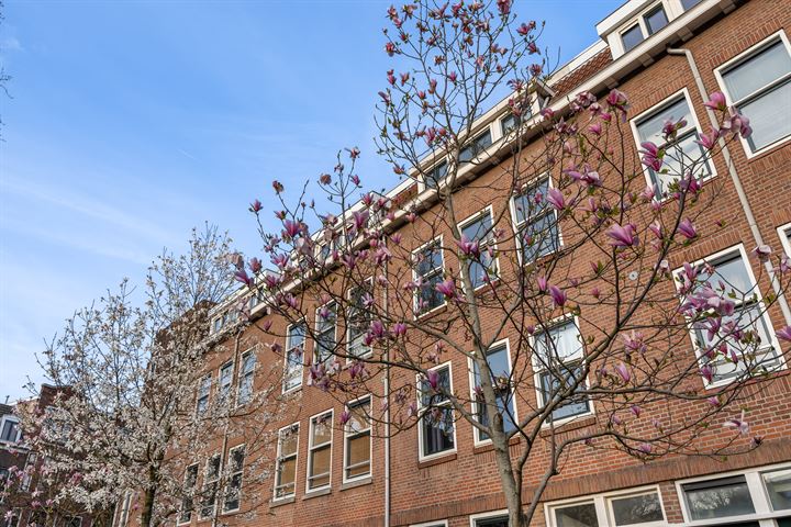 Bekijk foto 56 van Van Weelstraat 41-B