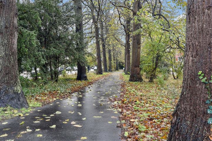 Bekijk foto 35 van Waalsdorperweg 101