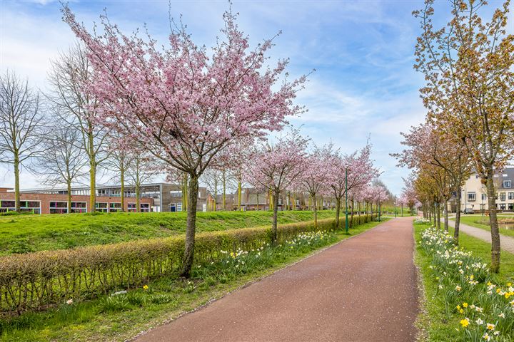 Bekijk foto 43 van Kanaalmuur 23