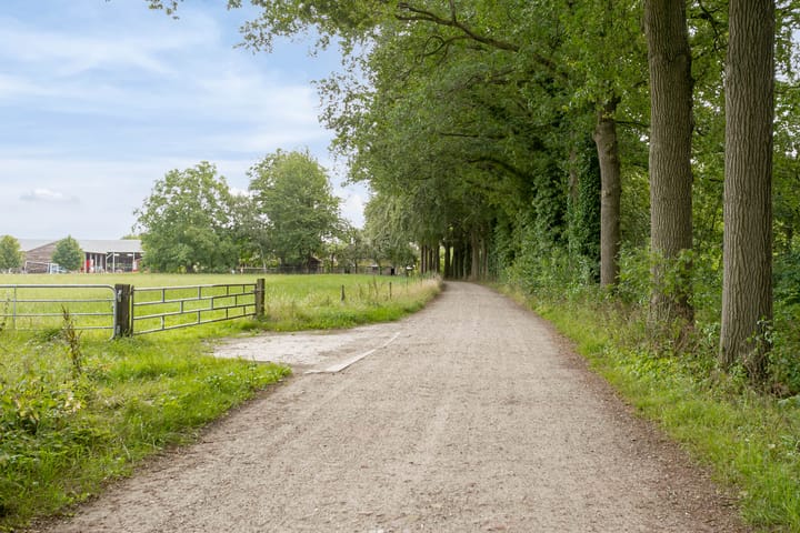 Foto 2 van Zandstraat 12