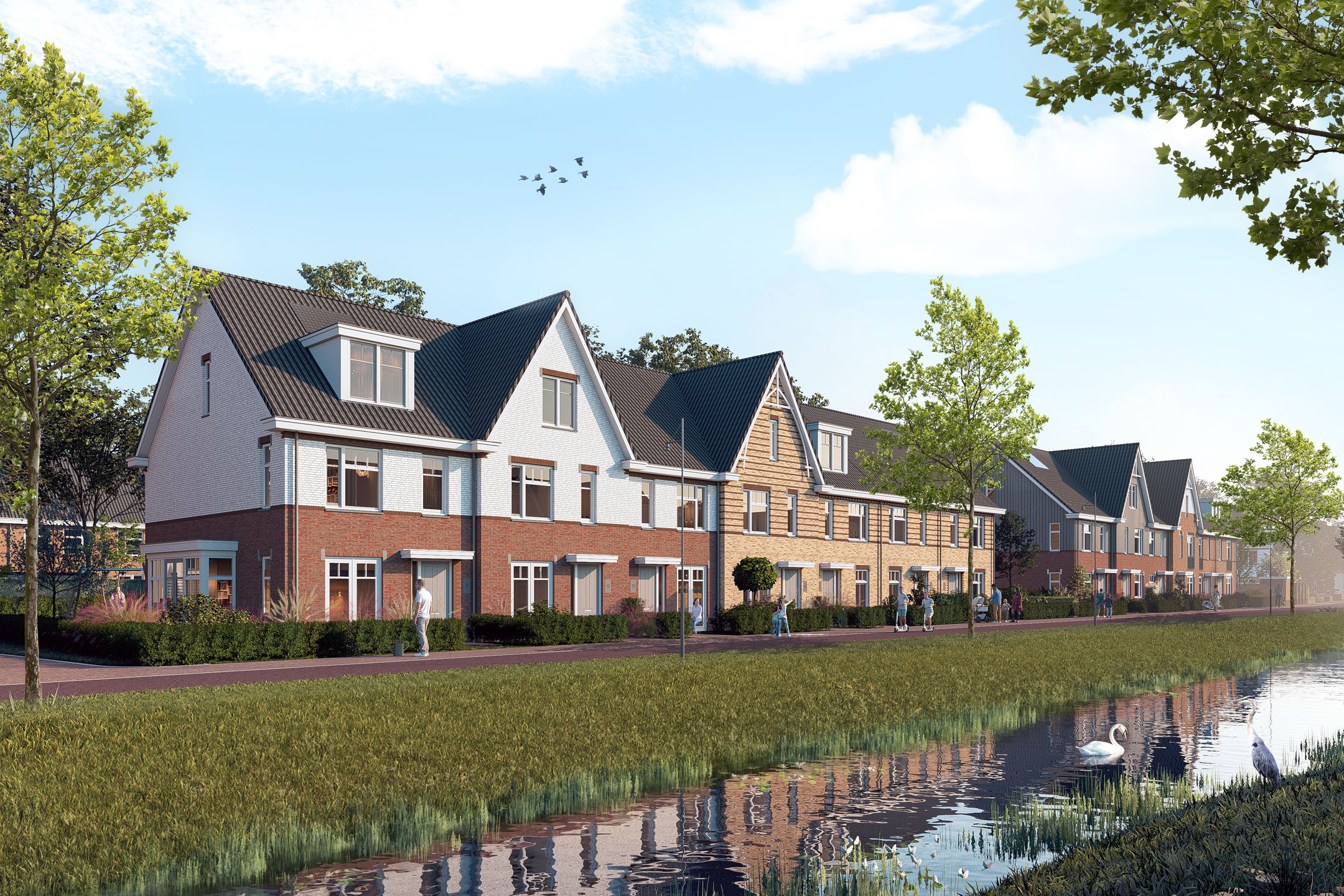 Foto 5 van Waterjuffers