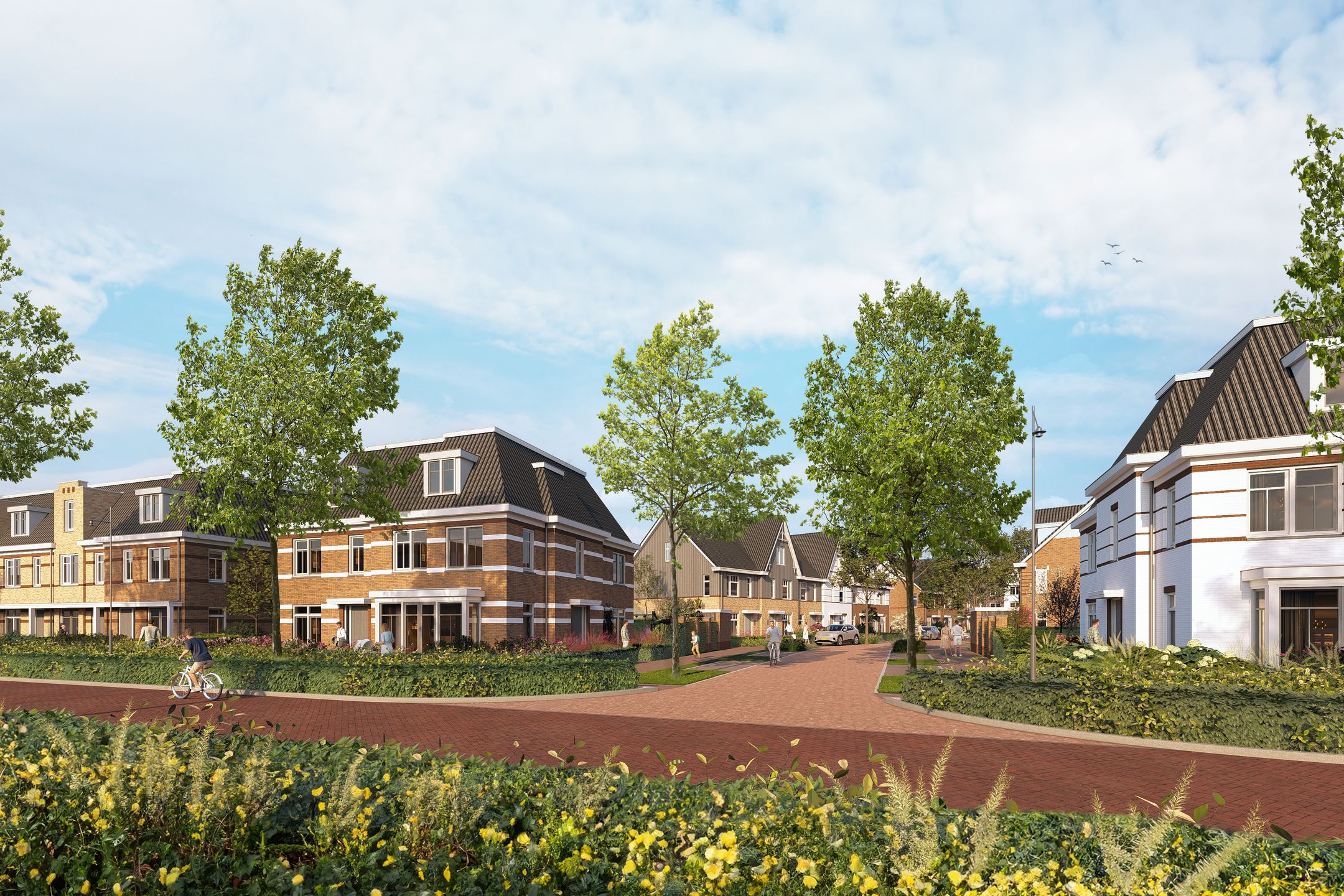 Foto 4 van Waterjuffers