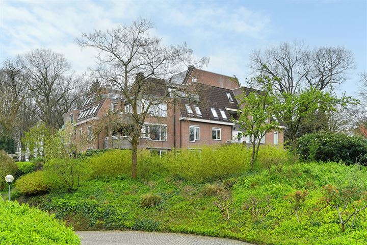 View photo 38 of Jan van Riebeeckweg 23