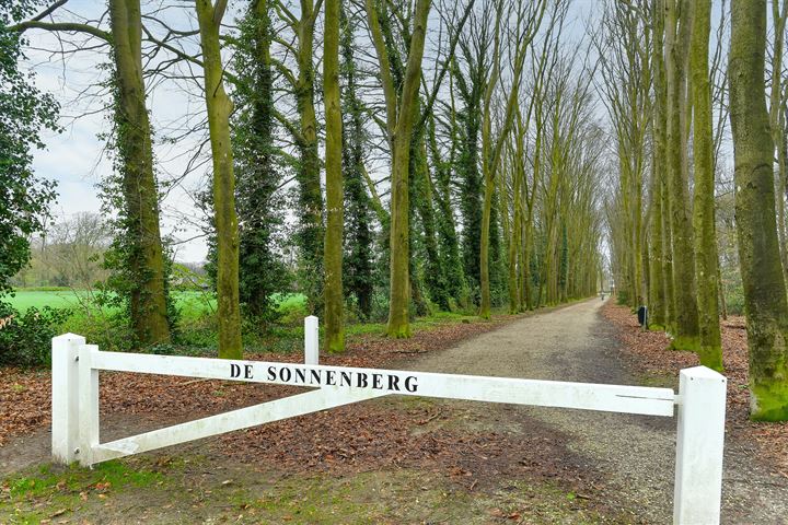 View photo 45 of Jan van Riebeeckweg 23