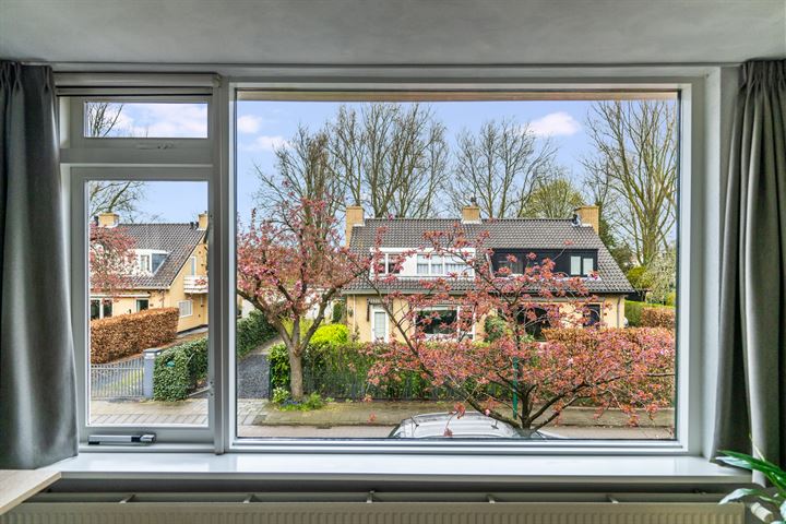 Bekijk foto 29 van Doude van Troostwijkstraat 41