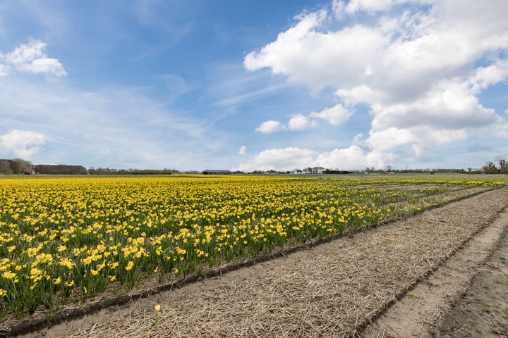 Bekijk foto 39 van Katwijksestraat 25