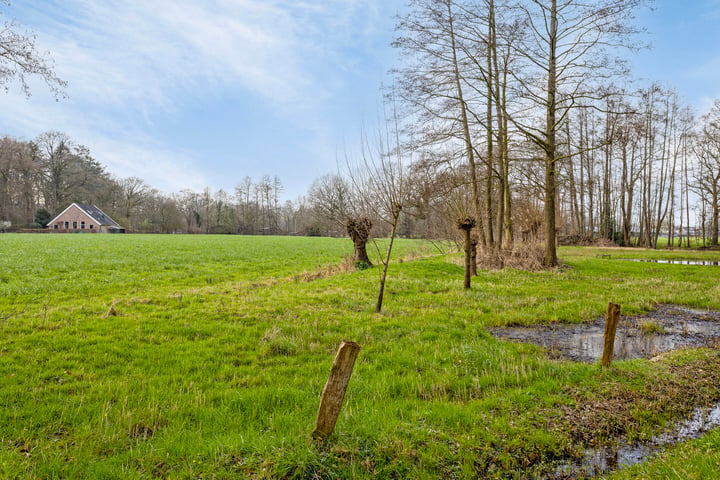 Bekijk foto 39 van Morshoekweg 30