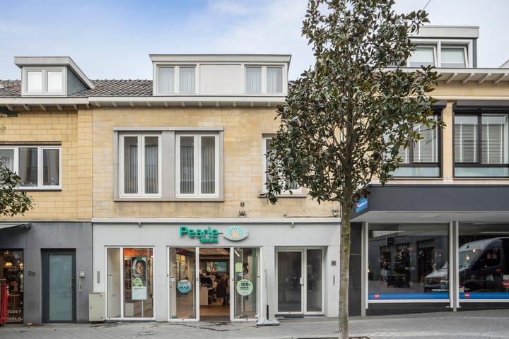 Foto 1 van Louis van der Maesenstraat 11