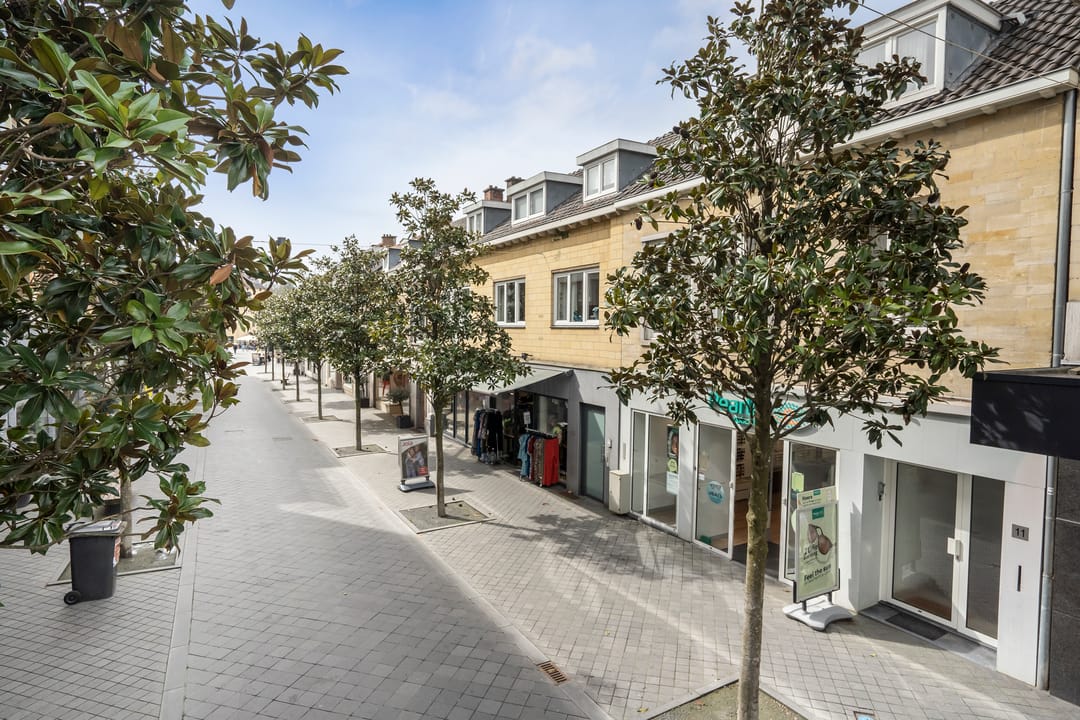 Foto 32 van Louis van der Maesenstraat 11