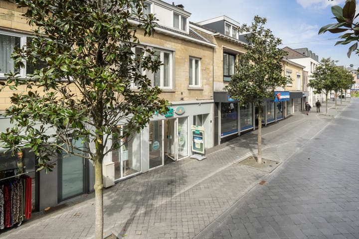 Foto 31 van Louis van der Maesenstraat 11