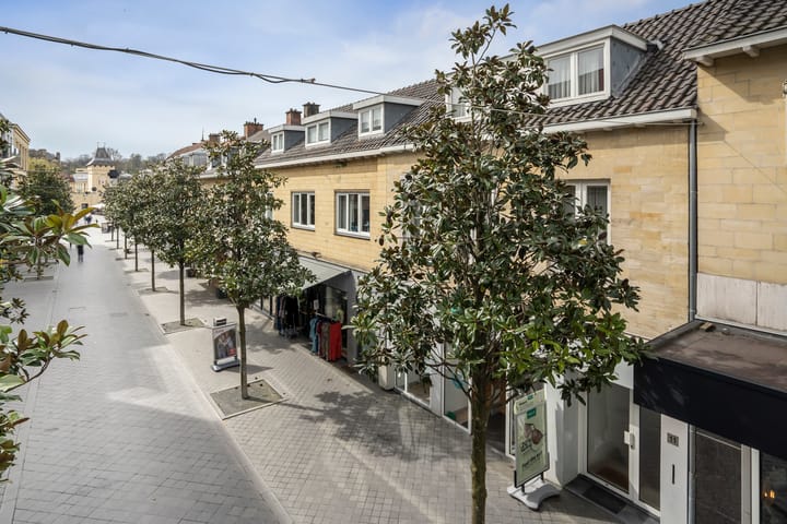 Foto 33 van Louis van der Maesenstraat 11