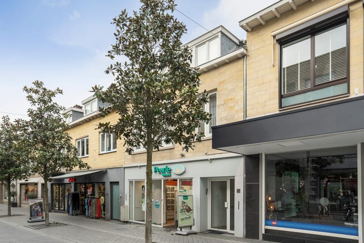 Foto 37 van Louis van der Maesenstraat 11