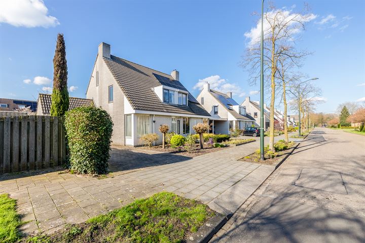 Bekijk foto 30 van Zaanstraat 19