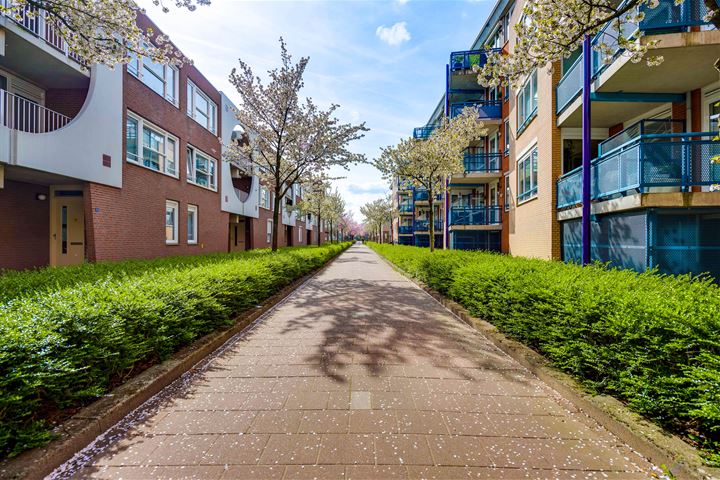 Bekijk foto 30 van Twijnderstraat 15