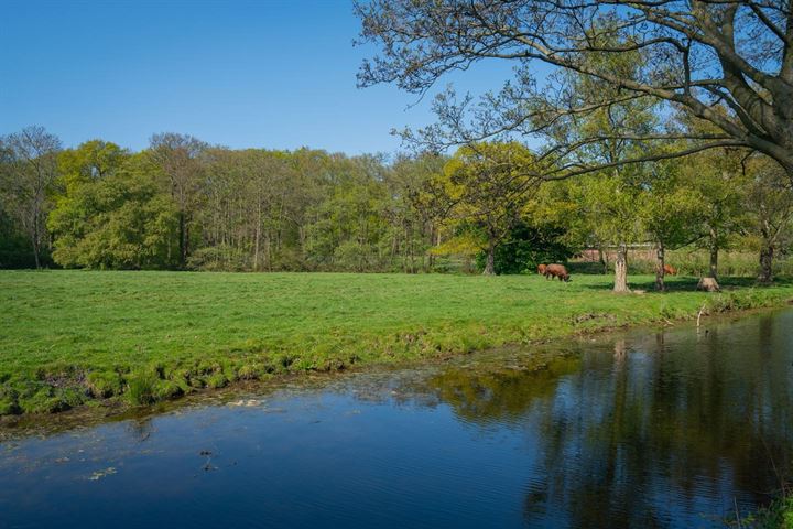 Bekijk foto 49 van Wassenaarseweg 239