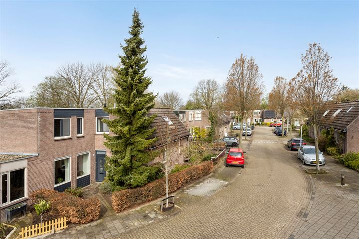 Bekijk foto 38 van Bordeauxlaan 42