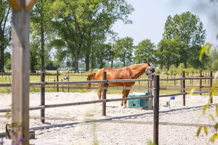 Bekijk foto 47 van Veluwsedijk 6