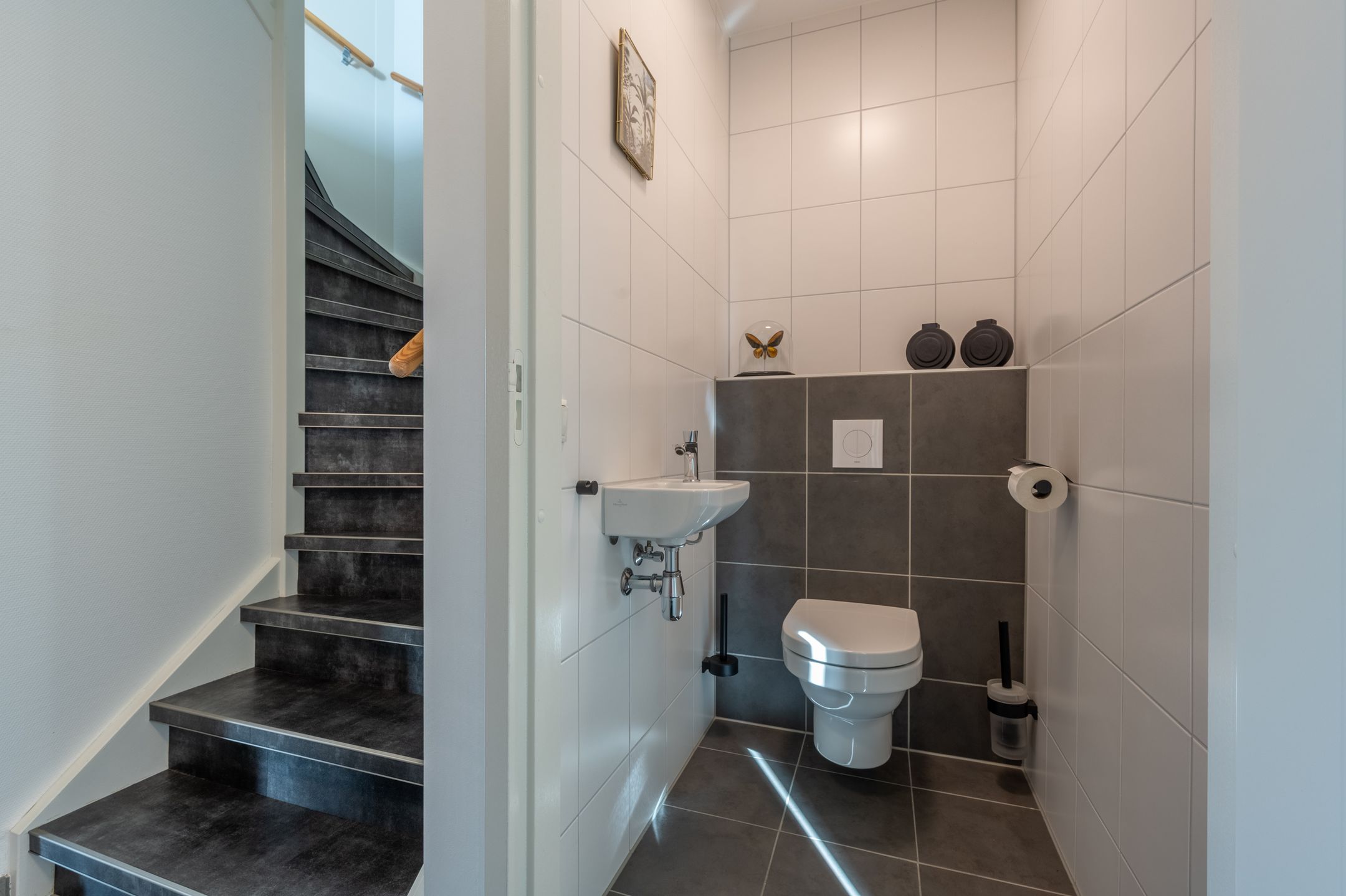 Foto 18 van Meerkoet 2