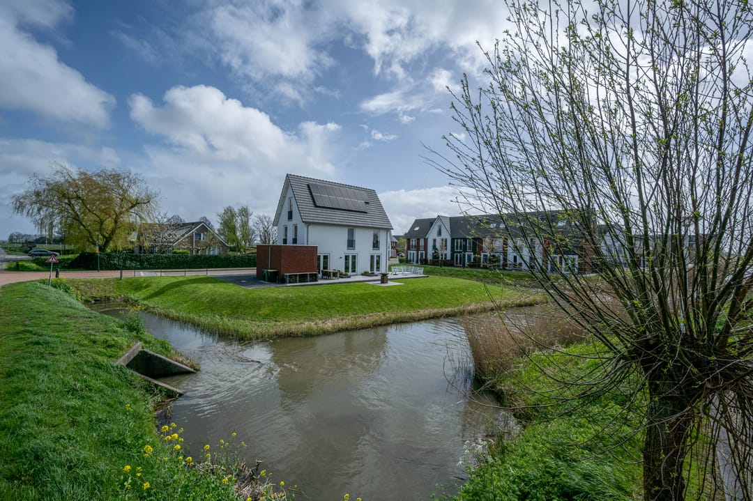 Foto 56 van Meerkoet 2