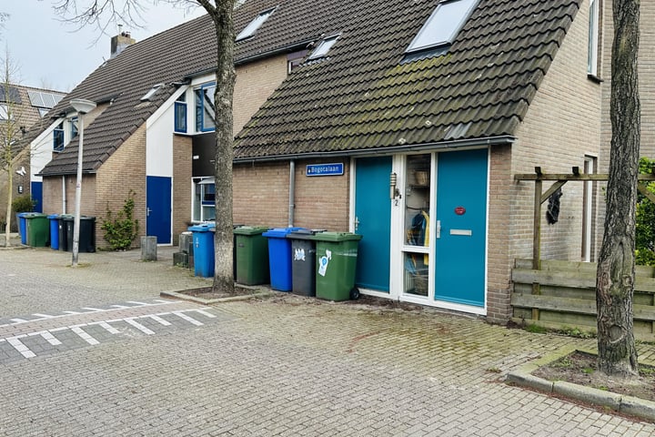 Bekijk foto 3 van Bogotalaan 5