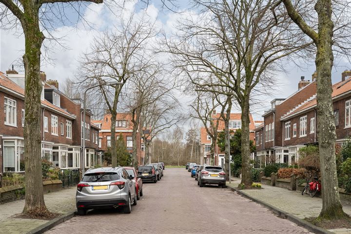 Bekijk foto 42 van Jan Luykenstraat 107