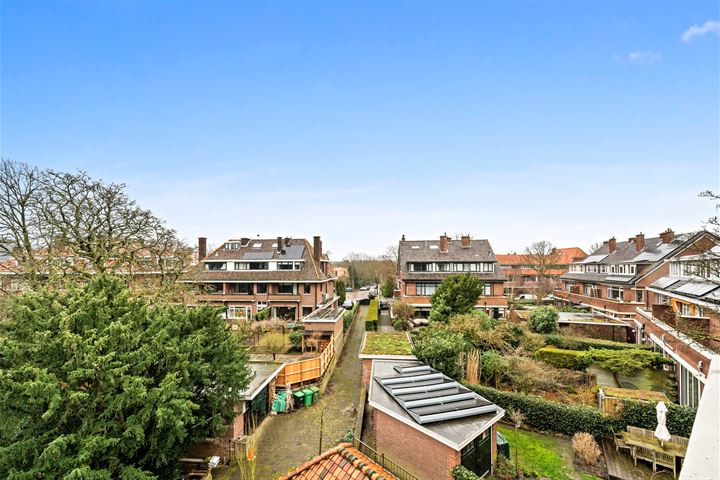 Bekijk foto 30 van Prof. P. S. Gerbrandyweg 19