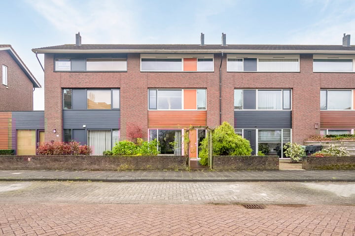 Bekijk foto 1 van Penningkruid 14