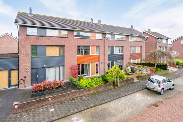 Bekijk foto 2 van Penningkruid 14