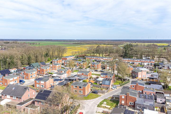 Bekijk foto 58 van Boekweitveld 5