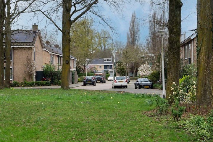 Bekijk foto 25 van Aldenhof 6700