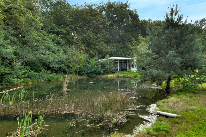 Bekijk foto 35 van Hertenroep 10