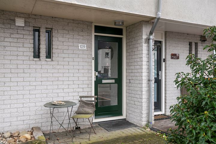 Bekijk foto 31 van Rubensstraat 109