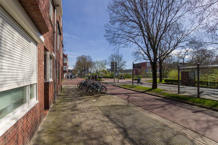 Bekijk foto 4 van Hoendiep 55