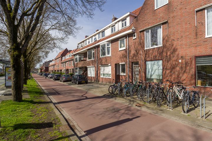 Bekijk foto 3 van Hoendiep 55