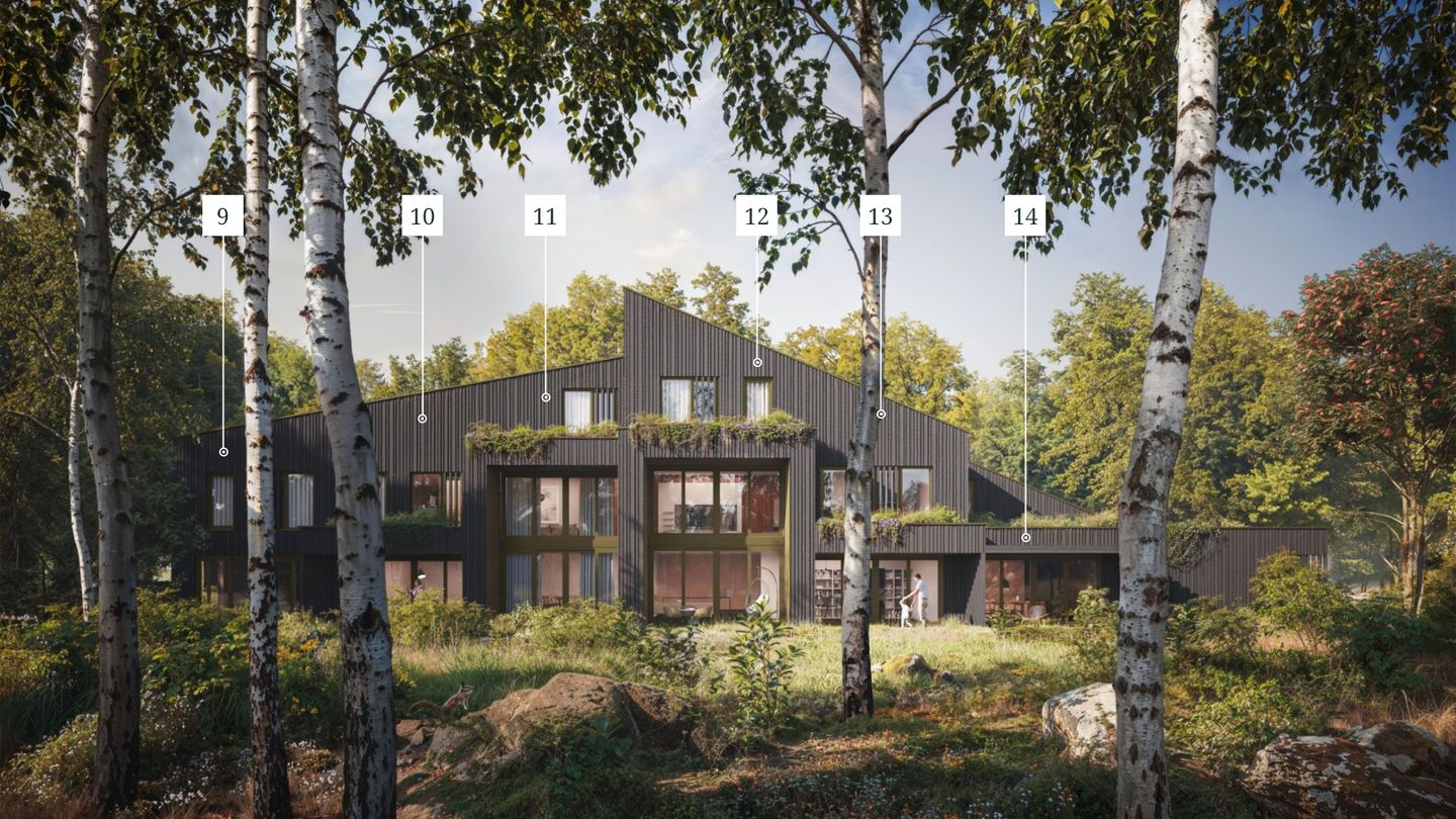 Foto 5 van Meerbos Meerstad