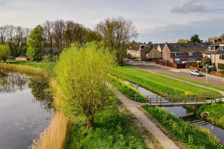 Bekijk foto 43 van Boezemsingel 14