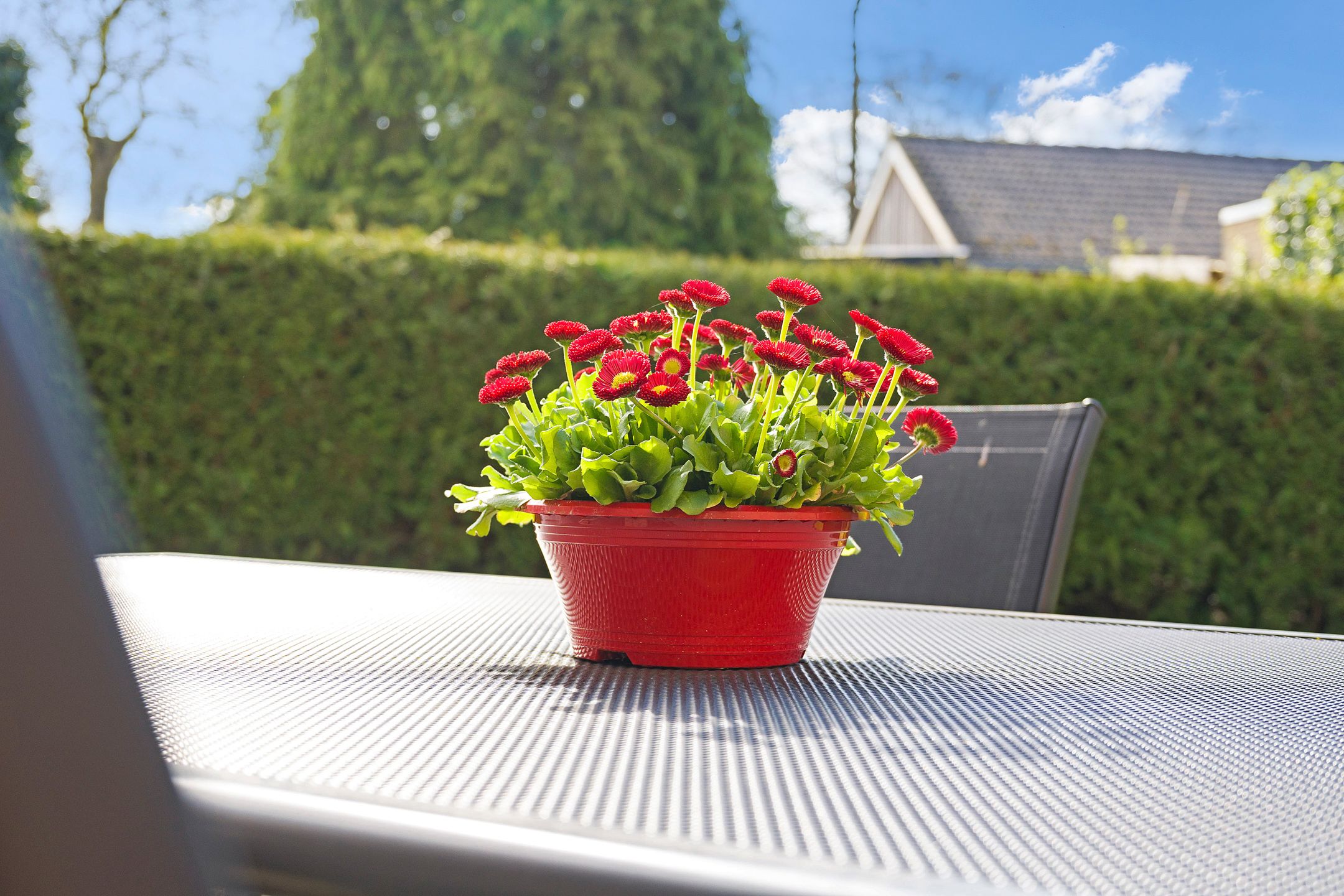 Foto 15 van Het Zwiggelterveld 169