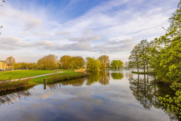 Bekijk foto 2 van Kralingse Plaslaan 2