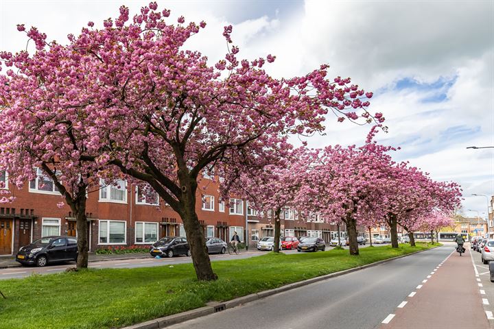 Bekijk foto 2 van J.C. Kapteynlaan 35-A