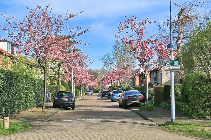 Bekijk foto 42 van Parkietstraat 32