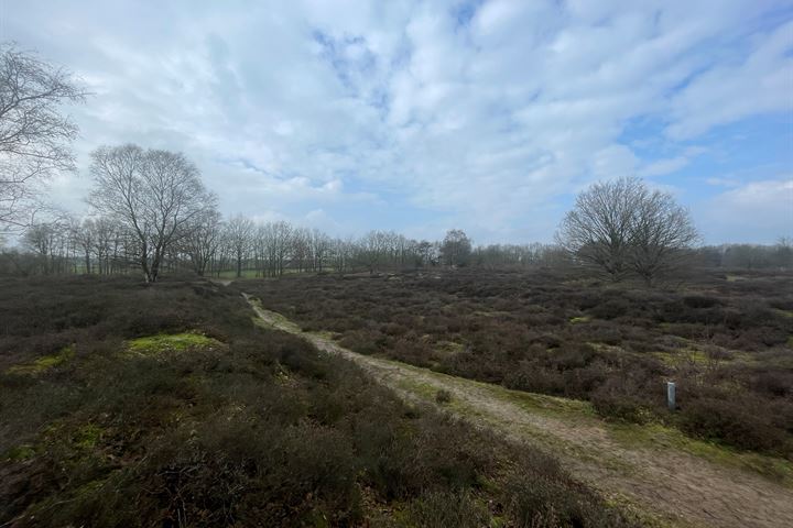 Beilerstraat, Westerbork