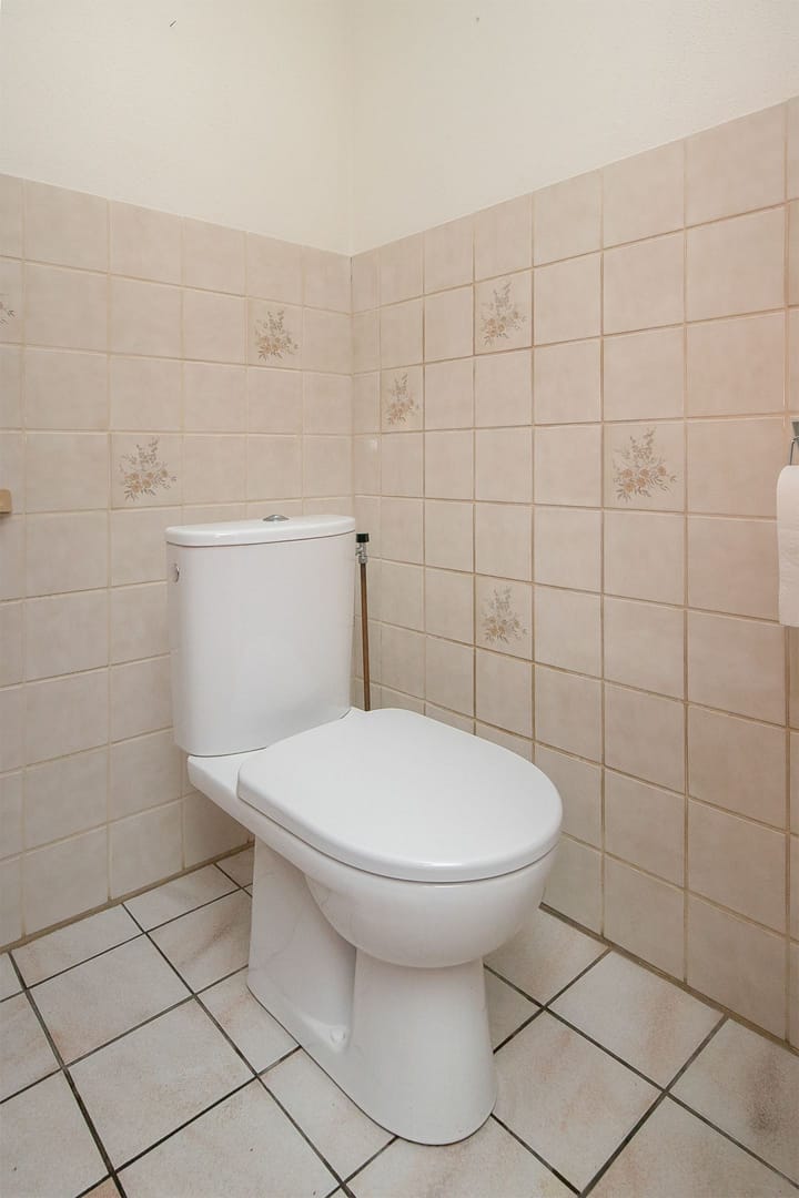 Foto 13 van Korte Venen 4