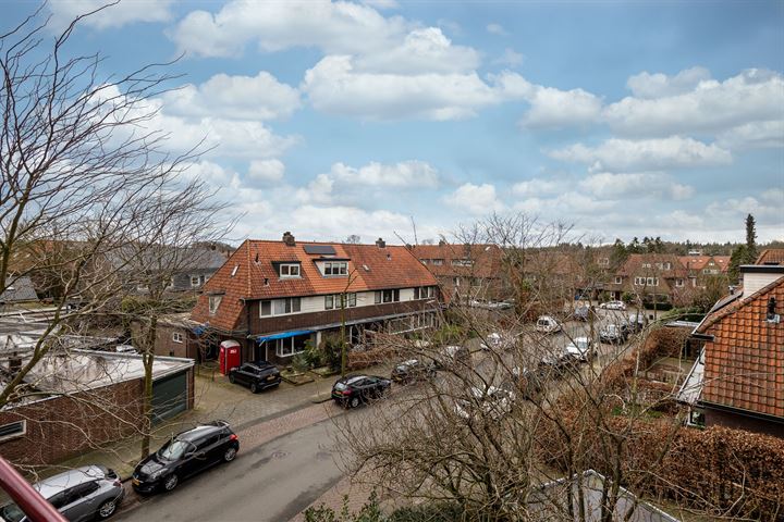 Bekijk foto 21 van Everard Meysterweg 60-C