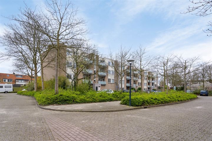 Bekijk foto 1 van Rotiusstraat 17