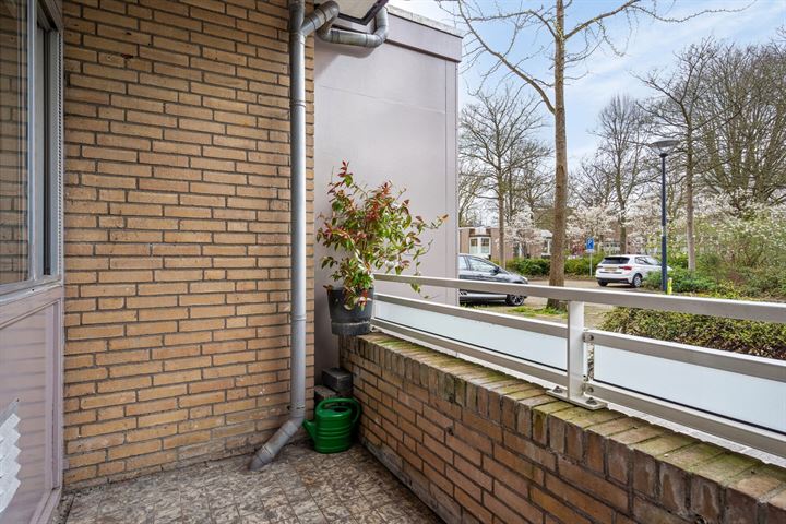 Bekijk foto 22 van Rotiusstraat 17