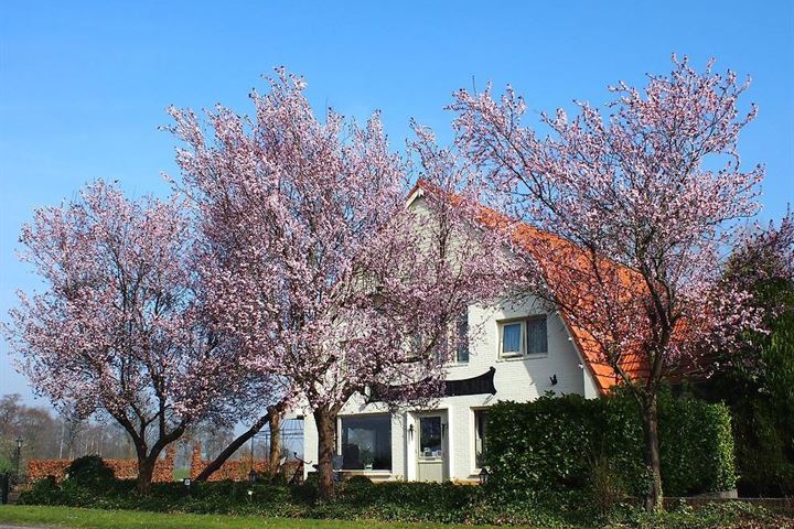 Bekijk foto 3 van Haarbrinksweg 79