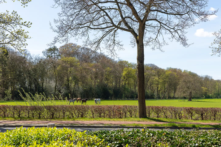 Bekijk foto 3 van Nieuw-Loosdrechtsedijk 5-C