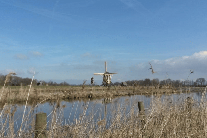 Bekijk foto 32 van Rijksstraatweg 148