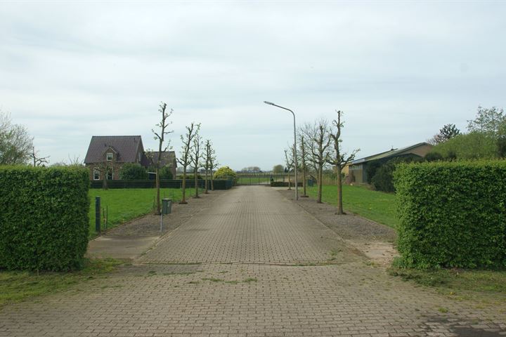 Bekijk foto 9 van Leutsestraat